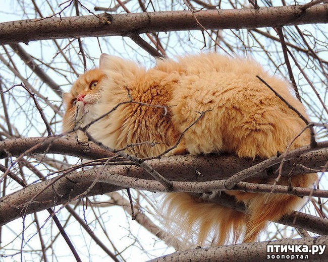 ���� 7: ��������� ���� � ��������� �����