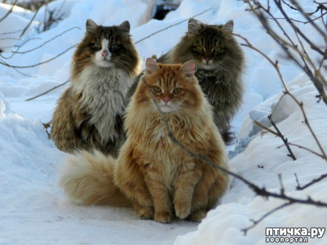 ���� 8: ��������� ���� � ��������� �����