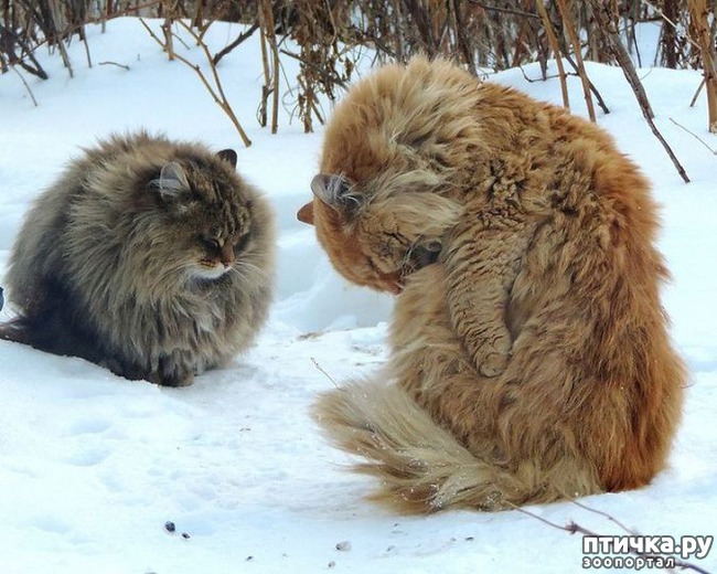 ���� 10: ��������� ���� � ��������� �����