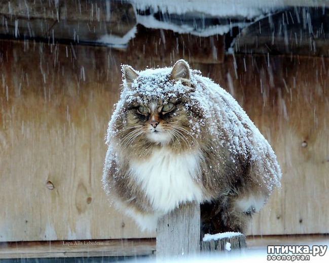 ���� 12: ��������� ���� � ��������� �����