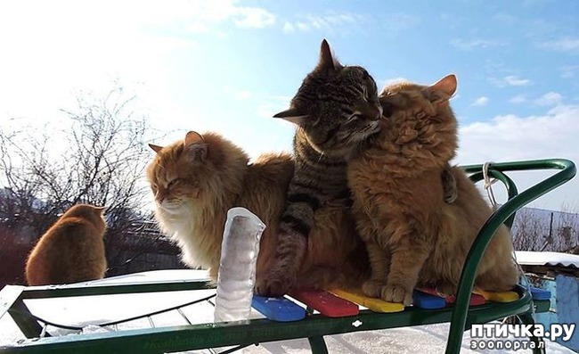 ���� 14: ��������� ���� � ��������� �����