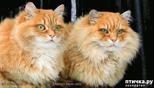 ���� 15: ��������� ���� � ��������� �����