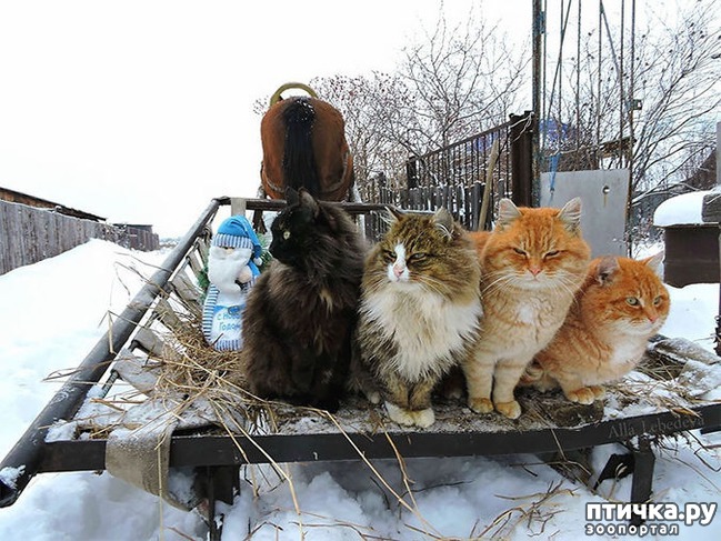 ���� 1: ��������� ���� � ��������� �����