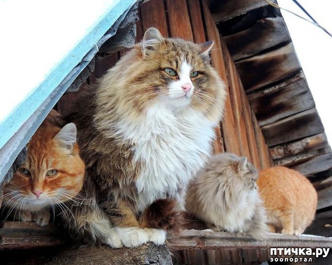 ���� 18: ��������� ���� � ��������� �����