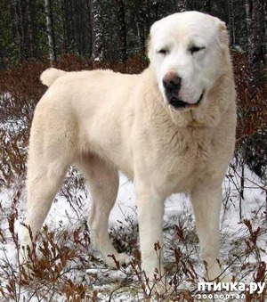 ����: #������ � ����� ���������� �������: <����>