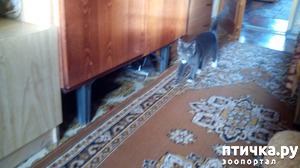 ����: ��� �� � �������� ������