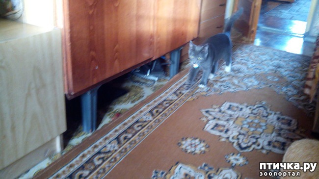 ���� 1: ��� �� � �������� ������