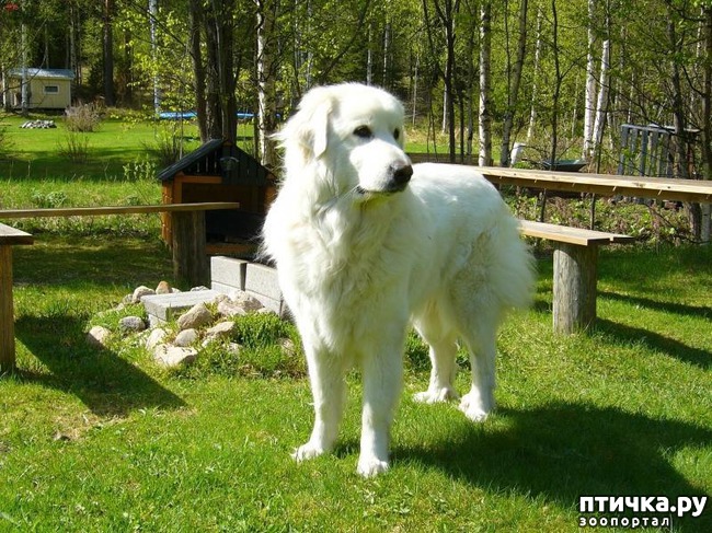 ���� 2: #������ � ����� ���������� �������: <����></a>