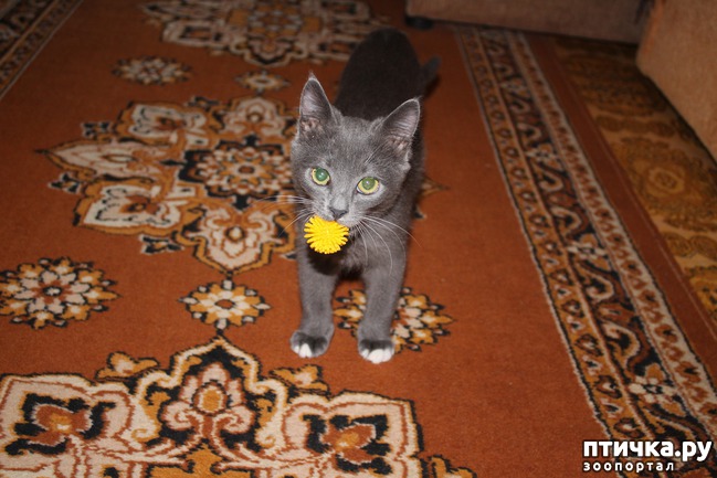 ���� 2: ��� �� � �������� ������