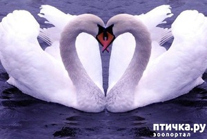 ����: 10 �������� � ����, ������� �������� ����� ���� ����� ��� �����