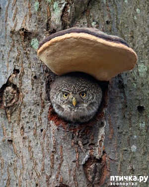 ����: � � ������