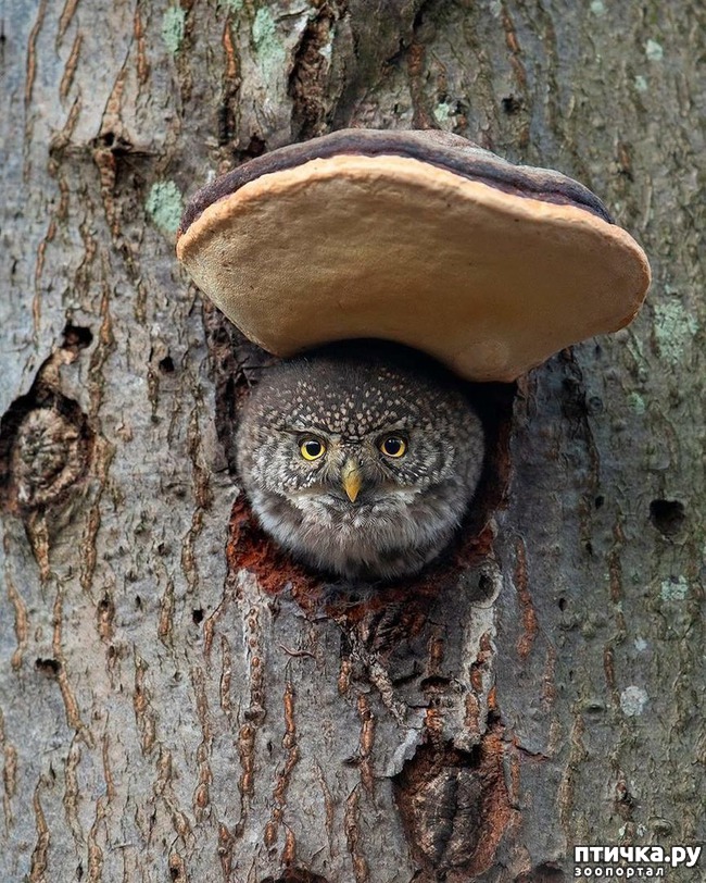 ���� 1: � � ������