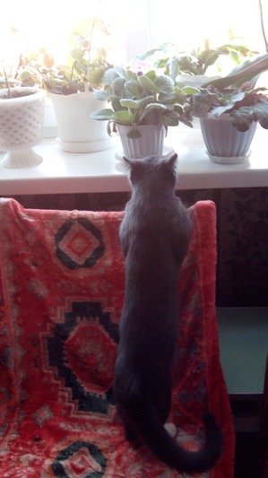 ����: ����� ��������!