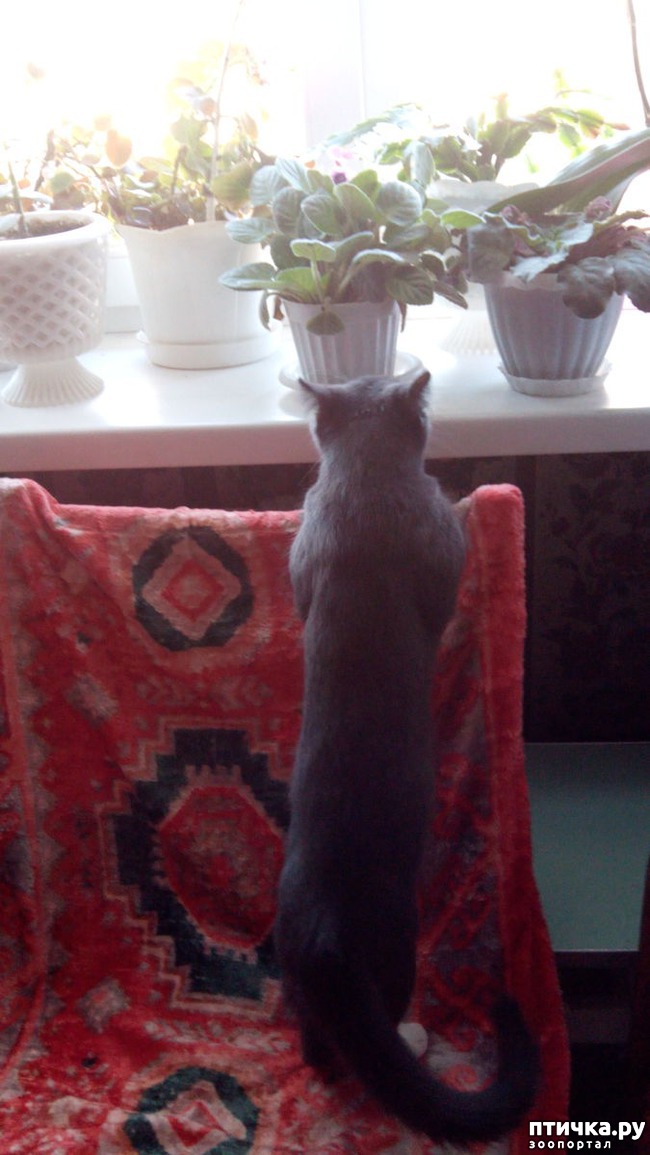 ���� 1: ����� ��������!