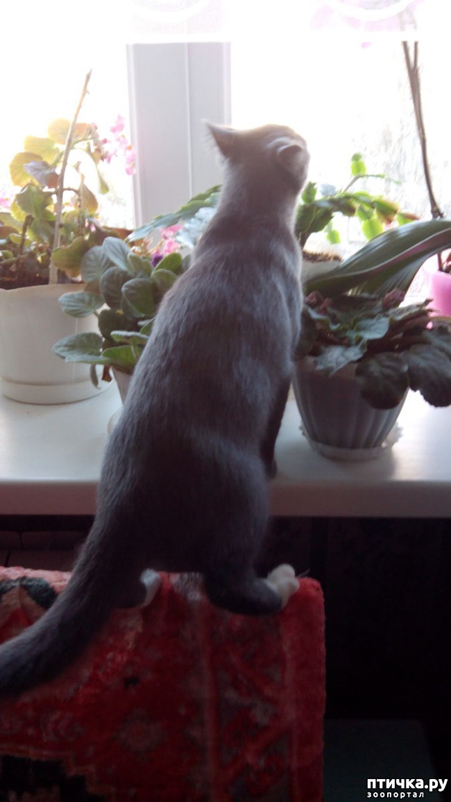 ���� 2: ����� ��������!