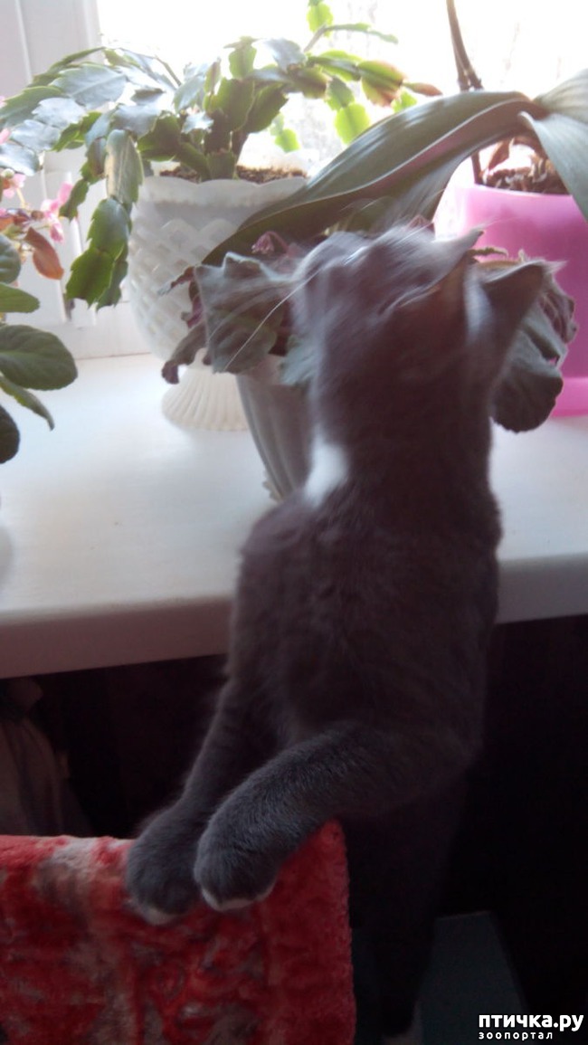 ���� 3: ����� ��������!