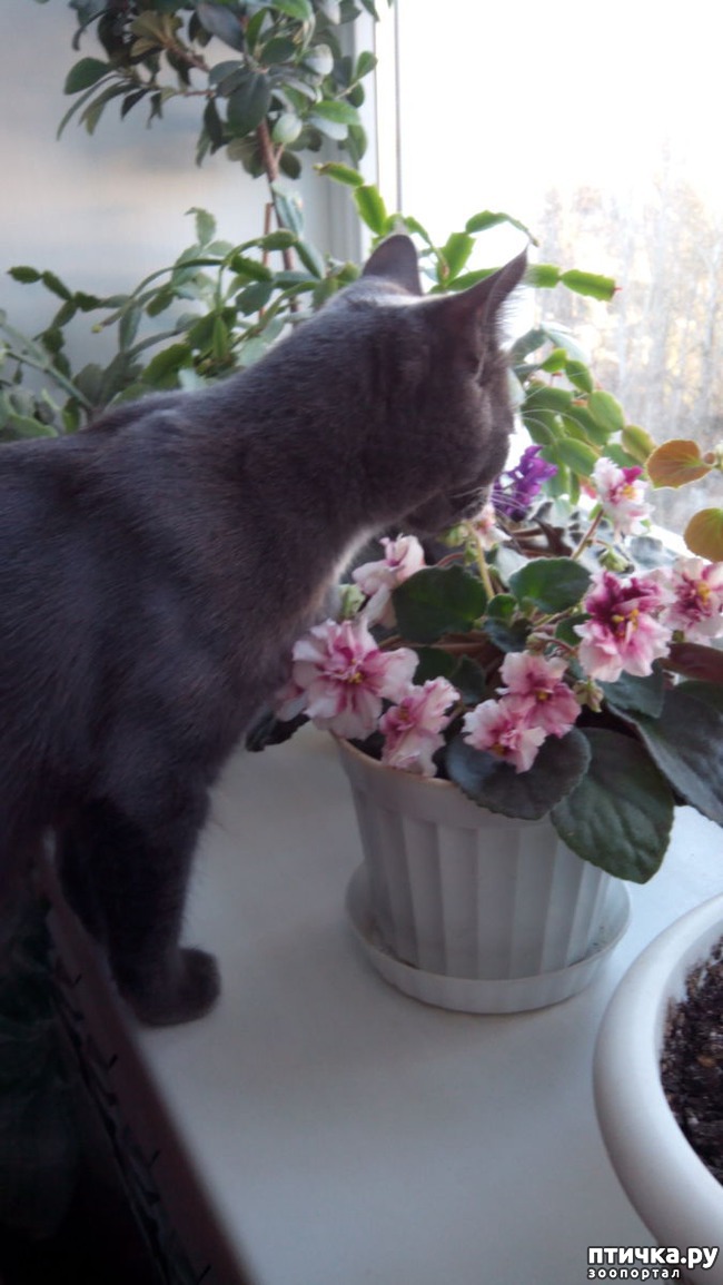 ���� 4: ����� ��������!