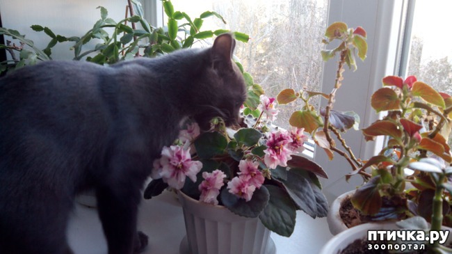 ���� 5: ����� ��������!