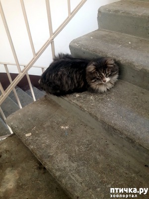 ����: �������� �������!