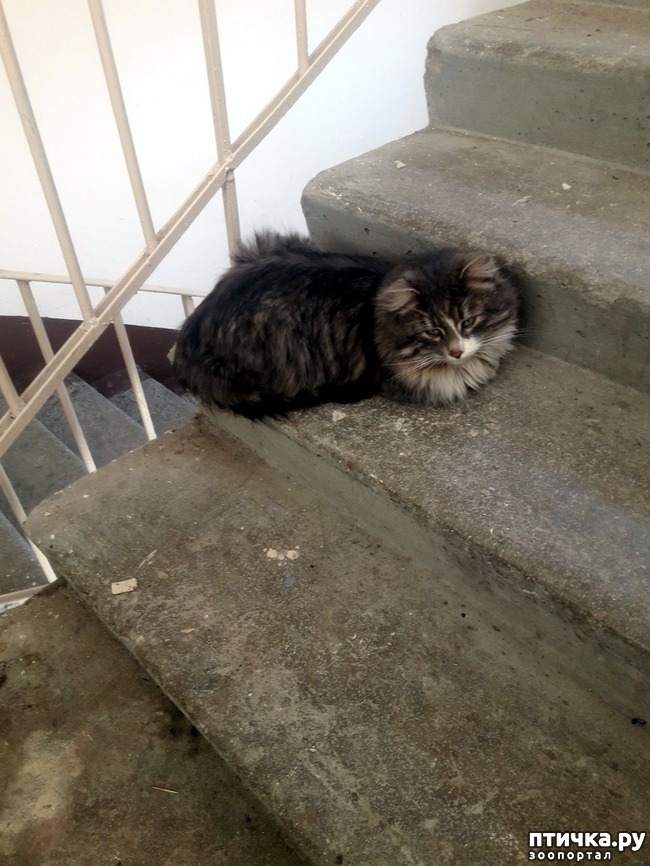 ���� 1: �������� �������!