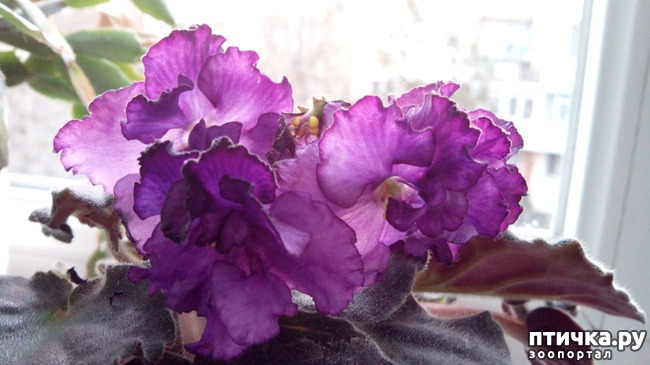 ���� 6: ����� ��������!