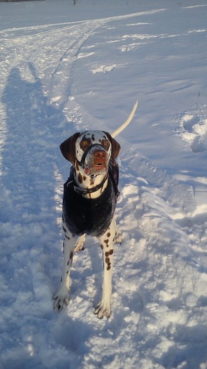 ����: � ���� ��������!!!