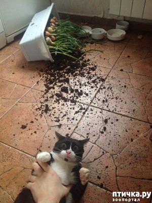 ����: �o���� � ��oc����!