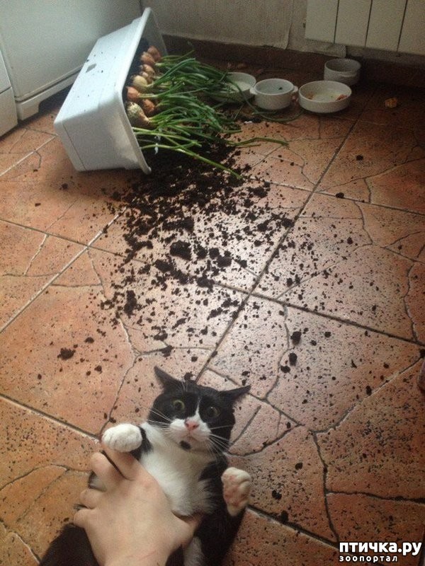 ���� 1: �o���� � ��oc����!