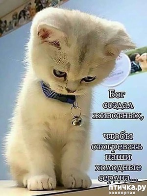 ����: ��� ���� ��� ������ ��������?