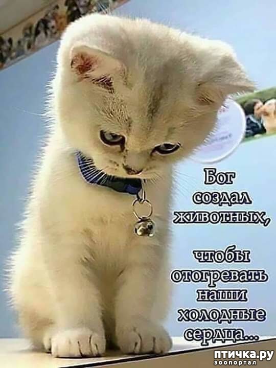 ���� 1: ��� ���� ��� ������ ��������?