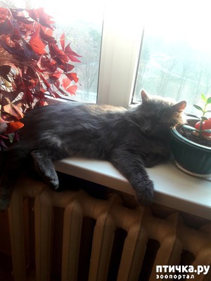 ����: ���� ��������� ���������.