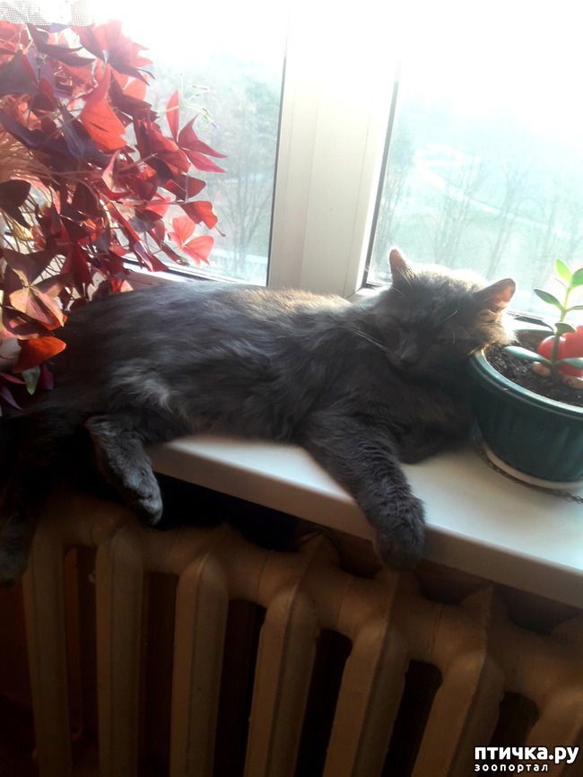 ���� 1: ���� ��������� ���������.