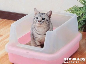 ����: #��� ������� ����� ������ ��-������