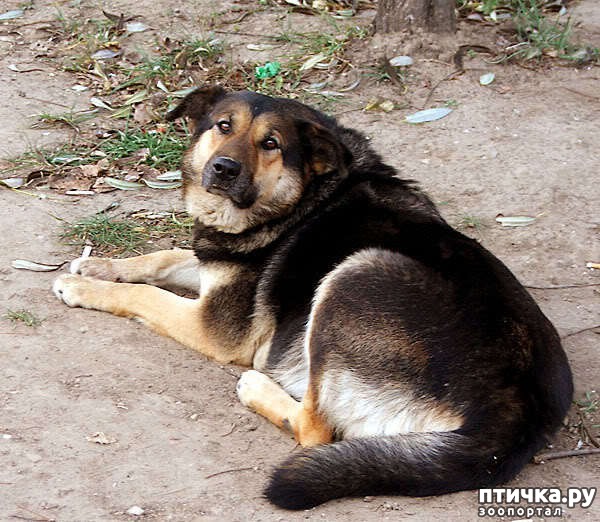 ���� 2: #��� ���� � ������� ��������