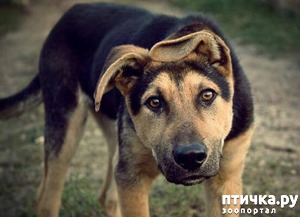 ����: #��� ���� � ������� ��������