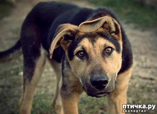 ���� 1: #��� ���� � ������� ��������