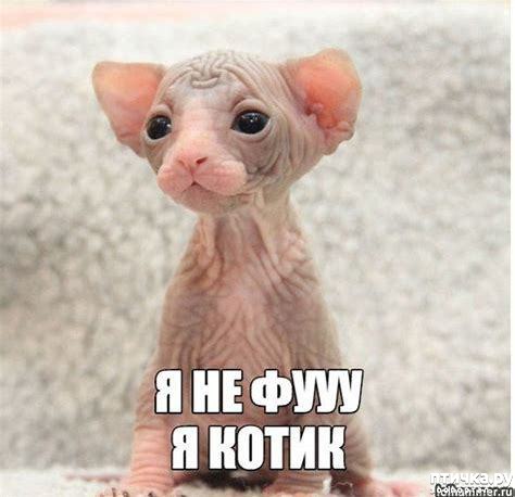 ���� 2: #�������� ���������� ������-���������