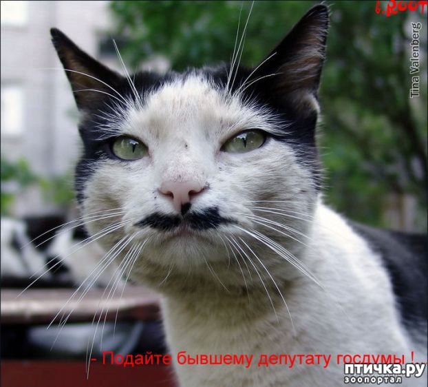 ���� 5: #�������� ���������� ������-���������