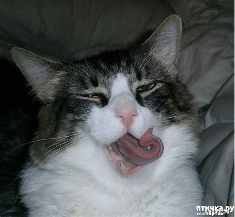 ���� 6: #�������� ���������� ������-���������