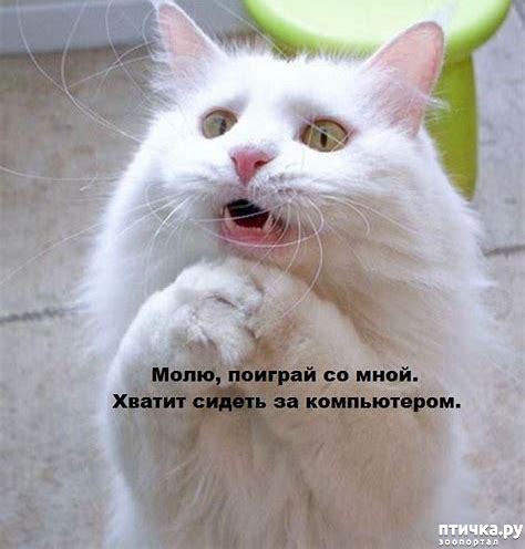 ���� 7: #�������� ���������� ������-���������