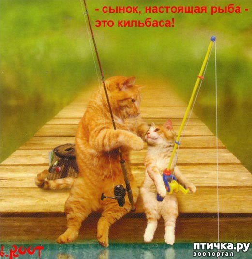 ���� 8: #�������� ���������� ������-���������