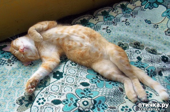 ���� 9: #�������� ���������� ������-���������