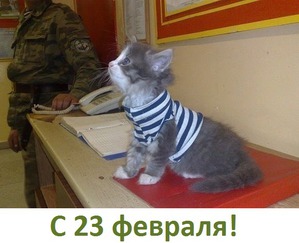 ����: ����������� � ����� 23 �������!!!