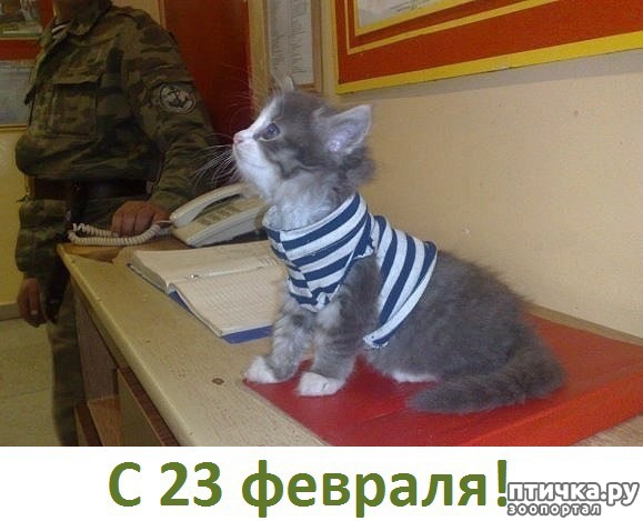 ���� 1: ����������� � ����� 23 �������!!!