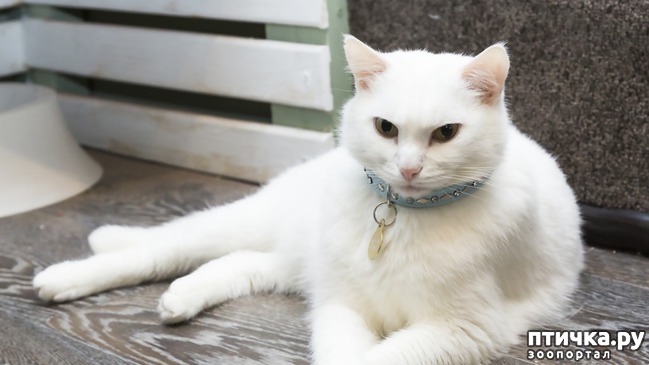 ���� 3: ����������� � ����� 23 �������!!!