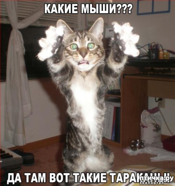 ���� 4: ����������� � ����� 23 �������!!!