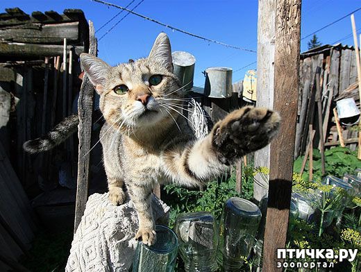 ���� 5: ����������� � ����� 23 �������!!!