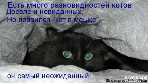 ���� 6: ����������� � ����� 23 �������!!!