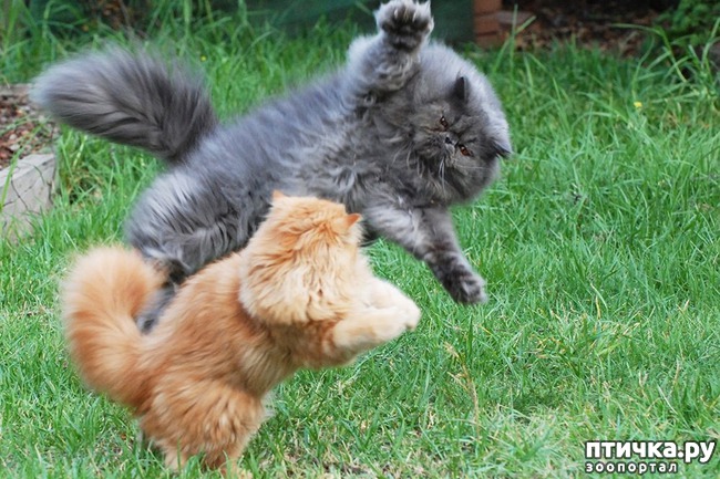 ���� 7: ����������� � ����� 23 �������!!!