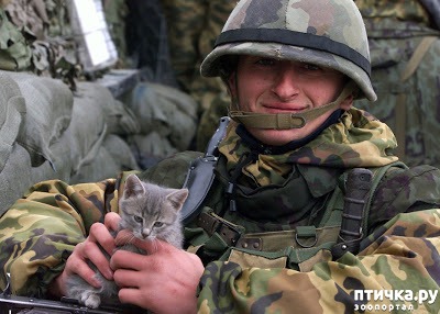 ���� 8: ����������� � ����� 23 �������!!!